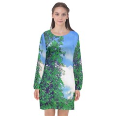 Drawing Of A Summer Day Long Sleeve Chiffon Shift Dress  by Fractalsandkaleidoscopes