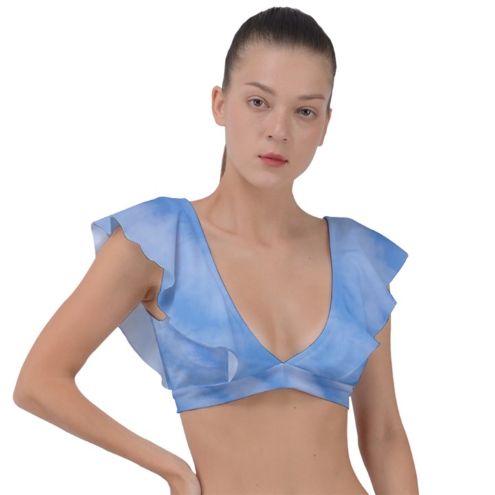 Wavy Cloudspa110232 Plunge Frill Sleeve Bikini Top