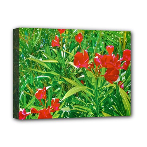 Red Flowers And Green Plants At Outdoor Garden Deluxe Canvas 16  X 12  (stretched)  by dflcprintsclothing