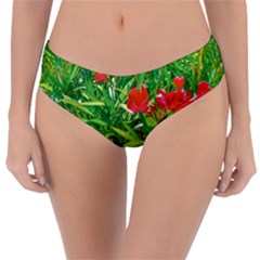 Red Flowers And Green Plants At Outdoor Garden Reversible Classic Bikini Bottoms by dflcprintsclothing