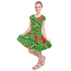 Red Flowers And Green Plants At Outdoor Garden Kids  Short Sleeve Dress