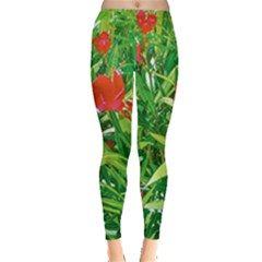 Red Flowers And Green Plants At Outdoor Garden Leggings 