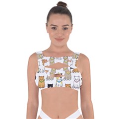Cat Kitten Seamless Pattern Bandaged Up Bikini Top