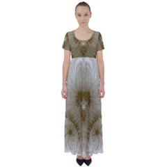 Fractal Abstract Pattern Background High Waist Short Sleeve Maxi Dress