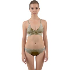 Fractal Abstract Pattern Background Wrap Around Bikini Set