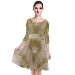 Fractal Abstract Pattern Background Quarter Sleeve Waist Band Dress