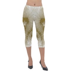 Fractal Abstract Pattern Background Lightweight Velour Capri Leggings 