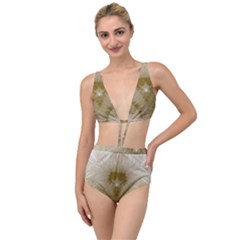 Fractal Abstract Pattern Background Tied Up Two Piece Swimsuit