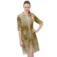 Fractal Abstract Pattern Background Long Sleeve Mini Shirt Dress