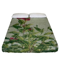 Botanical Vintage Style Motif Artwork 2 Fitted Sheet (king Size) by dflcprintsclothing
