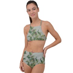 Botanical Vintage Style Motif Artwork 2 High Waist Tankini Set by dflcprintsclothing