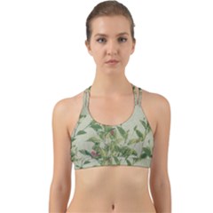 Botanical Vintage Style Motif Artwork 2 Back Web Sports Bra by dflcprintsclothing