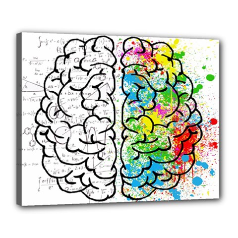 Brain Mind Psychology Idea Drawing Canvas 20  X 16  (stretched) by Wegoenart