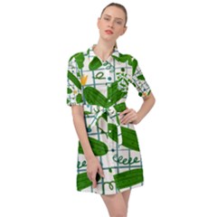 Seamless Pattern With Cucumber Belted Shirt Dress by Nexatart