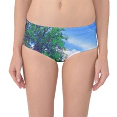 The Deep Blue Sky Mid-waist Bikini Bottoms by Fractalsandkaleidoscopes