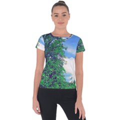 The Deep Blue Sky Short Sleeve Sports Top  by Fractalsandkaleidoscopes