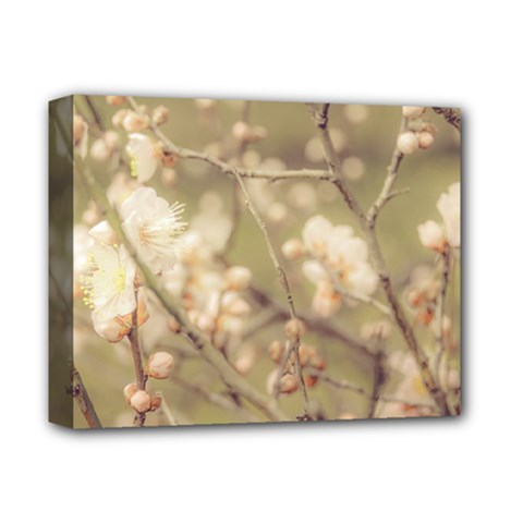 Sakura Flowers, Imperial Palace Park, Tokyo, Japan Deluxe Canvas 14  x 11  (Stretched)