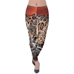 Nature With Tiger Velvet Leggings by Sparkle