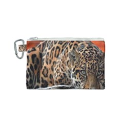 Nature With Tiger Canvas Cosmetic Bag (small) by Sparkle