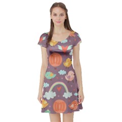 Cute Seamless Pattern With Doodle Birds Balloons Short Sleeve Skater Dress by Vaneshart