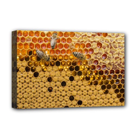 Top View Honeycomb Deluxe Canvas 18  X 12  (stretched) by Vaneshart