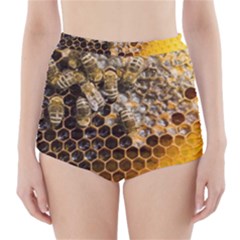 Honeycomb With Bees High-waisted Bikini Bottoms by Vaneshart