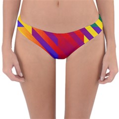 Gay Pride Rainbow Diagonal Striped Checkered Squares Reversible Hipster Bikini Bottoms by VernenInk
