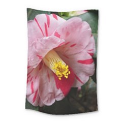 Striped Pink Camellia Ii Small Tapestry by okhismakingart