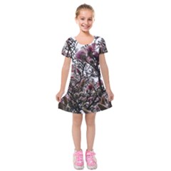 Saucer Magnolia Tree Ii Kids  Short Sleeve Velvet Dress by okhismakingart