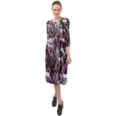 Saucer Magnolia Tree Ii Ruffle End Midi Chiffon Dress