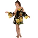 Embroidery blossoming lemons butterfly seamless pattern Kimono Sleeves Boho Dress View2