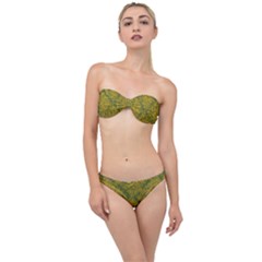 Abstract Flowers And Circle Classic Bandeau Bikini Set by DinzDas