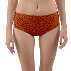 Animal Skin - Lion And Orange Skinnes Animals - Savannah And Africa Reversible Mid-waist Bikini Bottoms by DinzDas