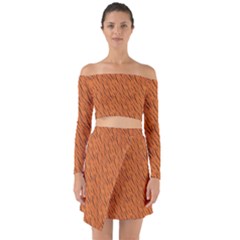 Animal Skin - Lion And Orange Skinnes Animals - Savannah And Africa Off Shoulder Top With Skirt Set by DinzDas