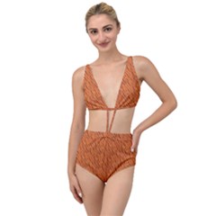 Animal Skin - Lion And Orange Skinnes Animals - Savannah And Africa Tied Up Two Piece Swimsuit by DinzDas