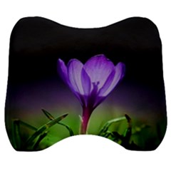 Floral Nature Velour Head Support Cushion by Sparkle