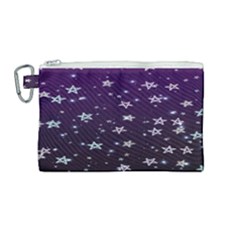 Stars Canvas Cosmetic Bag (medium)