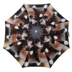 Cats Brothers Straight Umbrellas by Sparkle