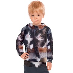 Cats Brothers Kids  Hooded Pullover by Sparkle