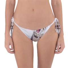 Laughing Kitten Reversible Bikini Bottom by Sparkle