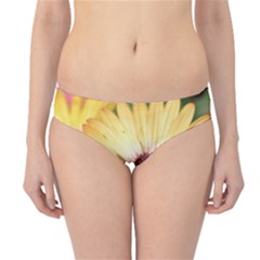 Yellow Flowers Hipster Bikini Bottoms