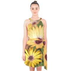 Yellow Flowers Halter Collar Waist Tie Chiffon Dress