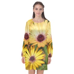 Yellow Flowers Long Sleeve Chiffon Shift Dress 