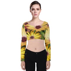 Yellow Flowers Velvet Long Sleeve Crop Top