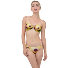 Yellow Flowers Classic Bandeau Bikini Set