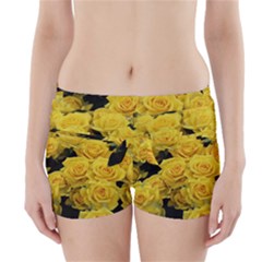 Yellow Roses Boyleg Bikini Wrap Bottoms by Sparkle