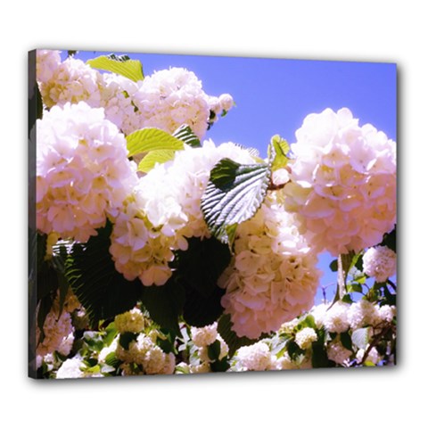 Pink Snowball Branch Canvas 24  X 20  (stretched) by okhismakingart