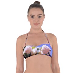 Pink Snowball Branch Halter Bandeau Bikini Top