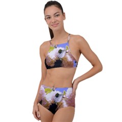 Pink Snowball Branch High Waist Tankini Set