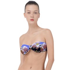 Pink Snowball Branch Classic Bandeau Bikini Top 